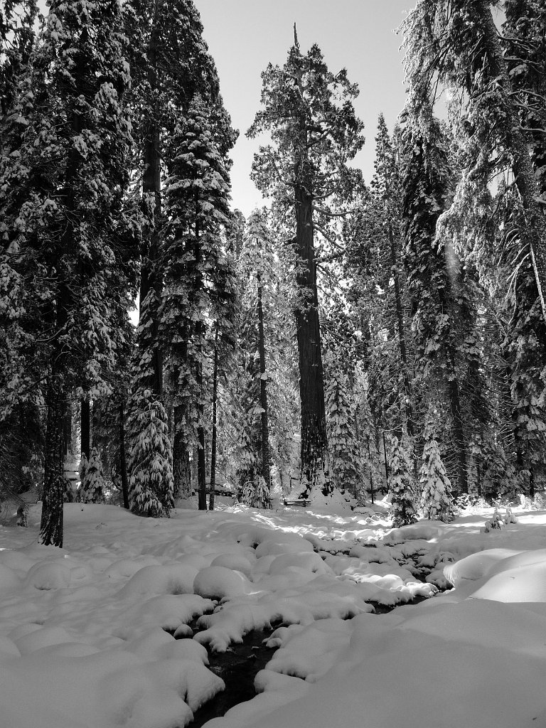 Christmas2010 207.JPG